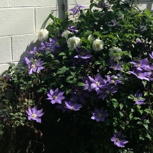 Meet your Posher, Bryanna